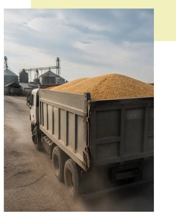 Перевозка сельхозпродукции навалом в Тюмень по цене от 3062 р. | Агросервис-Тюм